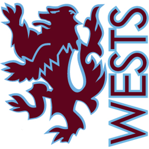 Western District Lions 3rd Grade