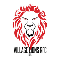 Village Lions MD3 logo