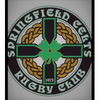 Celts D3 1st XV logo