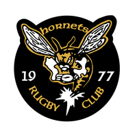 St. Louis Hornets MD3 logo